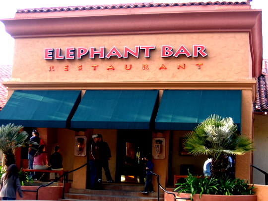 Elephant Bar Restaurant in Campbell, California